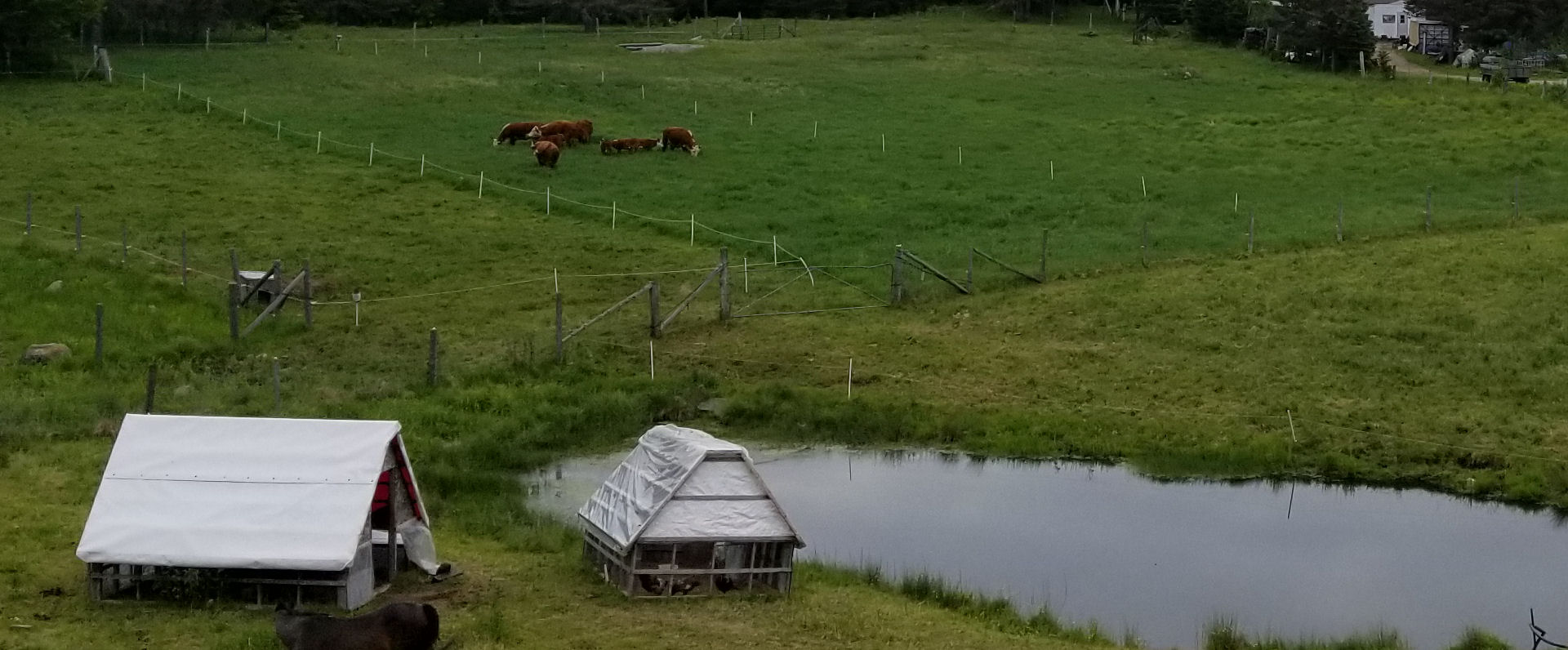 Groulx Acres